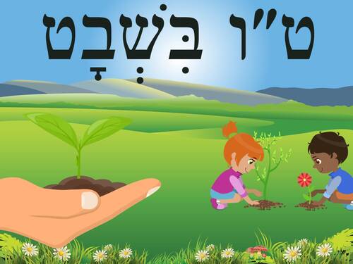 Banner Image for Shabbat in Shul:  Tu B'Shvat Seder after Kiddush Lunch